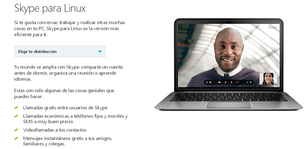 Skype Linux 01