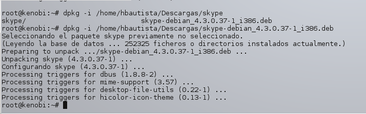 Skype Linux 06